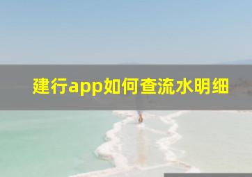 建行app如何查流水明细