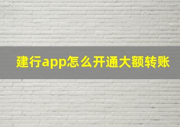 建行app怎么开通大额转账