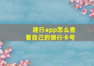 建行app怎么查看自己的银行卡号