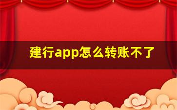 建行app怎么转账不了