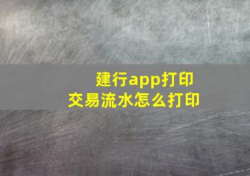 建行app打印交易流水怎么打印