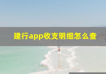 建行app收支明细怎么查