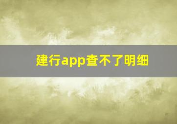 建行app查不了明细