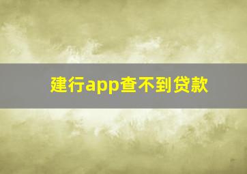 建行app查不到贷款