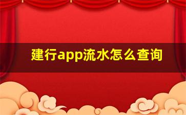 建行app流水怎么查询