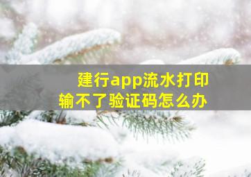 建行app流水打印输不了验证码怎么办