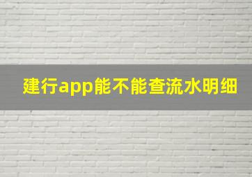 建行app能不能查流水明细