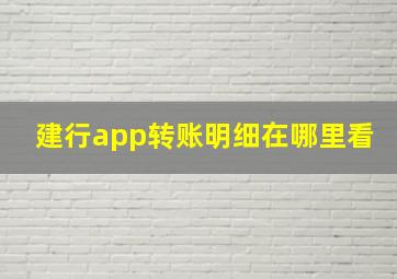 建行app转账明细在哪里看