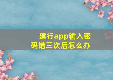 建行app输入密码错三次后怎么办