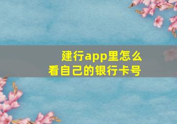 建行app里怎么看自己的银行卡号