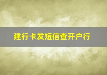 建行卡发短信查开户行