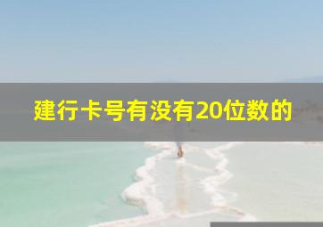 建行卡号有没有20位数的