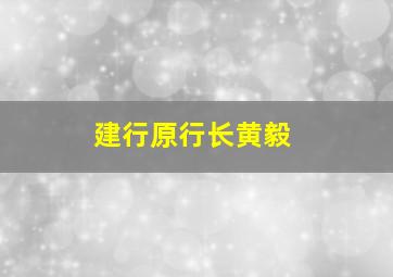 建行原行长黄毅