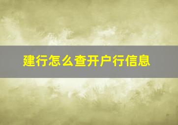 建行怎么查开户行信息