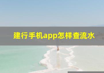 建行手机app怎样查流水