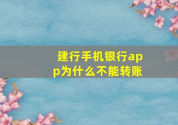 建行手机银行app为什么不能转账