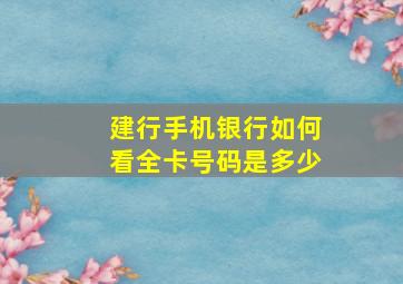 建行手机银行如何看全卡号码是多少