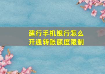 建行手机银行怎么开通转账额度限制