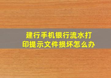 建行手机银行流水打印提示文件损坏怎么办