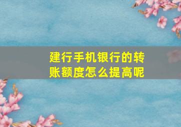 建行手机银行的转账额度怎么提高呢