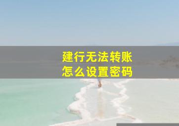 建行无法转账怎么设置密码