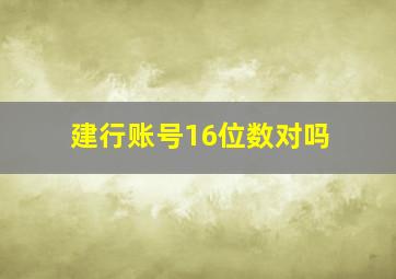 建行账号16位数对吗