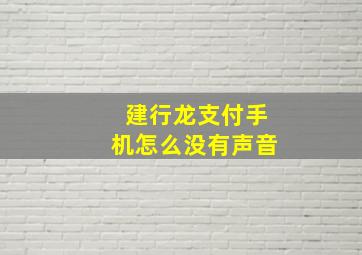 建行龙支付手机怎么没有声音