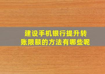 建设手机银行提升转账限额的方法有哪些呢