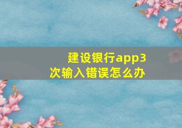 建设银行app3次输入错误怎么办