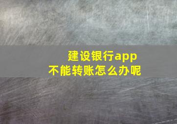 建设银行app不能转账怎么办呢