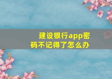 建设银行app密码不记得了怎么办