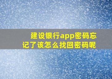 建设银行app密码忘记了该怎么找回密码呢