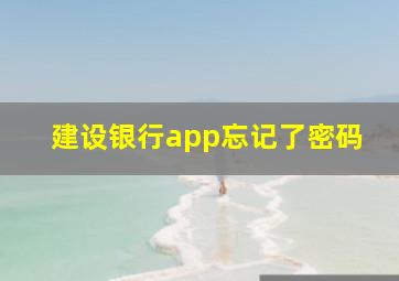 建设银行app忘记了密码