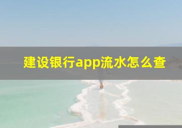 建设银行app流水怎么查