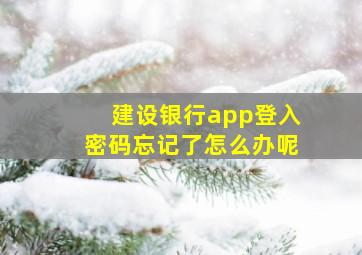 建设银行app登入密码忘记了怎么办呢