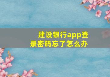 建设银行app登录密码忘了怎么办