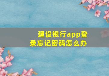 建设银行app登录忘记密码怎么办