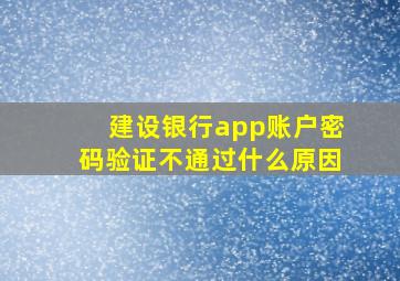 建设银行app账户密码验证不通过什么原因