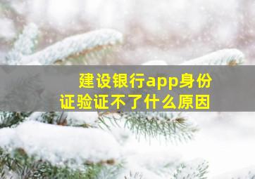 建设银行app身份证验证不了什么原因