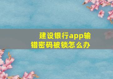 建设银行app输错密码被锁怎么办