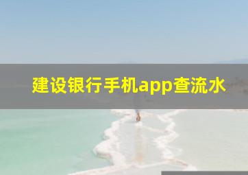 建设银行手机app查流水