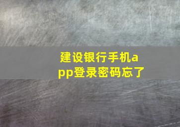 建设银行手机app登录密码忘了