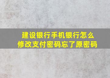 建设银行手机银行怎么修改支付密码忘了原密码