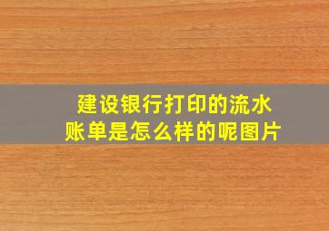 建设银行打印的流水账单是怎么样的呢图片