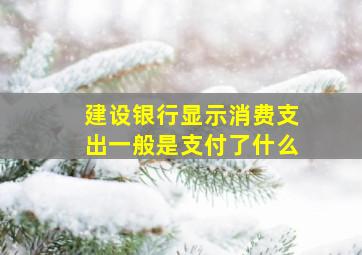 建设银行显示消费支出一般是支付了什么