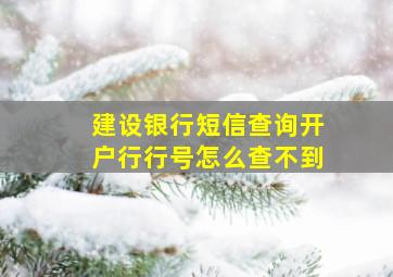 建设银行短信查询开户行行号怎么查不到