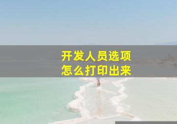 开发人员选项怎么打印出来