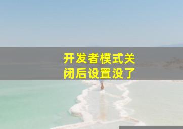 开发者模式关闭后设置没了