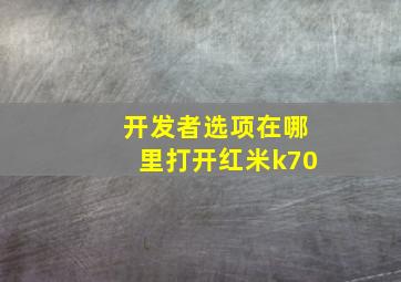 开发者选项在哪里打开红米k70