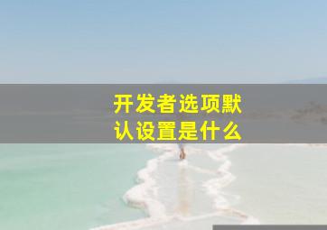 开发者选项默认设置是什么